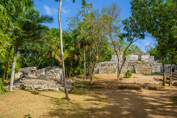 Mayan ruins in shadow of trees in jungle tropical forest Playa del Carmen, Riviera Maya, Yu atan, Mexico
