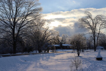 winter landscape with trees and snow