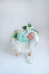Fototapeta na wymiar sleeping newborn baby in a basket