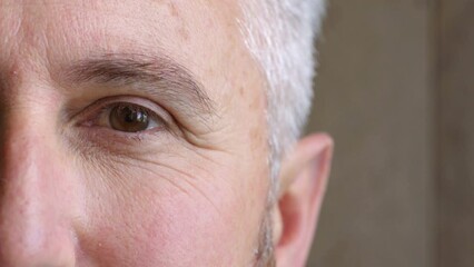 Face closeup of an older man with grey hair looking calm, staring and blinking. Head portrait of a senior psychologist or mature male pensioner with brown eyes and fair skin enjoying retirement.