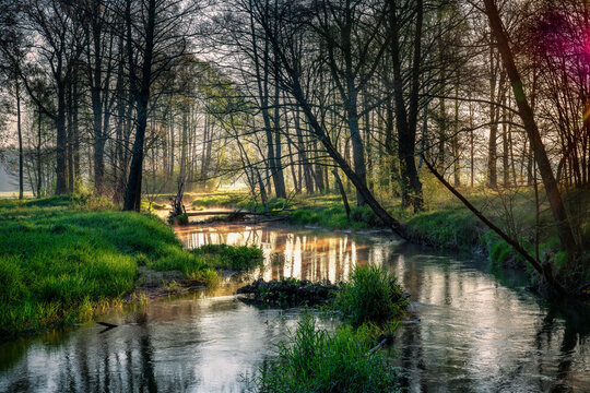 Spring sunrise over the river v3