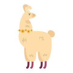 yellow llama perubian animal