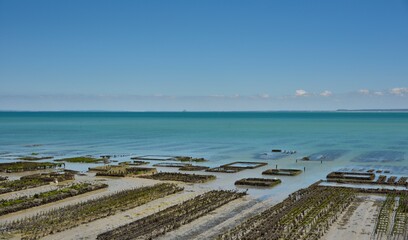 Parcs  à huitres à Cancale (Ille-et-Vilaine)