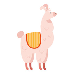 llama perubian pink color © Gstudio