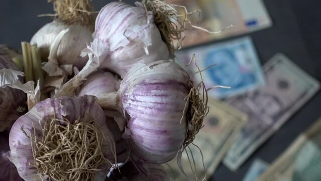 world garlic production and the extreme increase in garlic prices, a bunch of garlic on a black background and paper banknotes of many countries next to it,