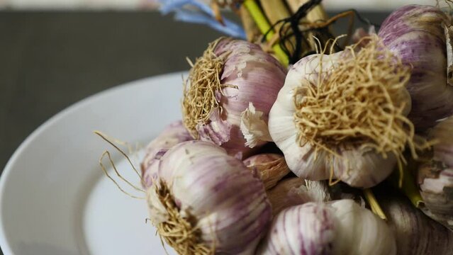 natural garlic in purple color,close-up bunch of garlic,garlics on rotating stand on black ground,