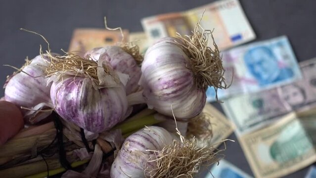 world garlic production and the extreme increase in garlic prices, a bunch of garlic on a black background and paper banknotes of many countries next to it,