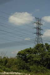 Torre de electricidad con cables en varias direcciones y árbol en la parte inferior