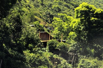 Casa rural de madera entre arboles frondosos en la montaña © RobertoIsa