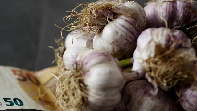 50 euros and garlics on the floor, garlic production in the world, a bunch of garlic,
