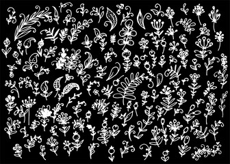 plants of branches with leaves, berries and flowers, hand-drawn in the style of doodles. vegetable texture twigs with leaves and berries white outline on black for design template