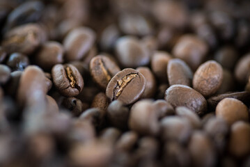 Freshly roasted coffee