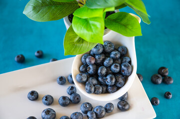 Sunny morning with blueberries