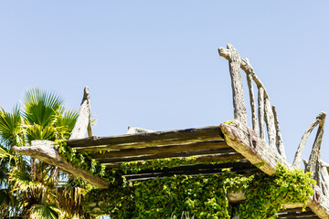 Fototapeta premium A fragment of a wooden ruined bridge overgrown with green tropical vegetation among palm trees against a blue sky. Journey through the southern sights