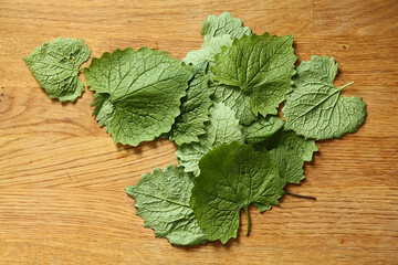 garlic mustard ready for cutting for salad