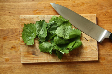 Garlic mustard ready for cutting for salad