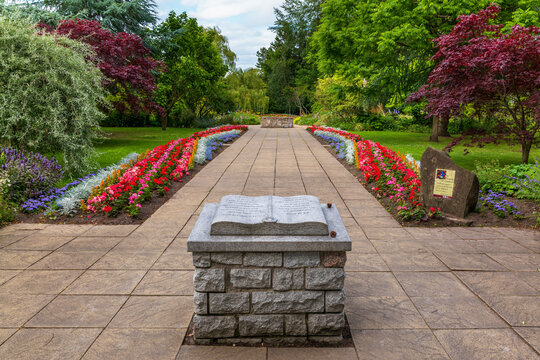 Blooming colour in the Elgin Biblical Garden