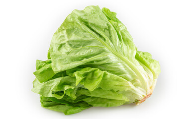 Plain lettuce isolated on white background.