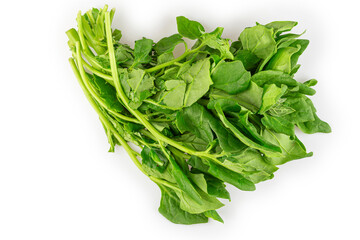 Spinach isolated on white background.