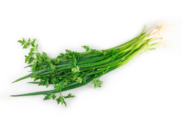 Coriander with chive isolated on white background.