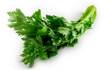 Celery isolated on white background.