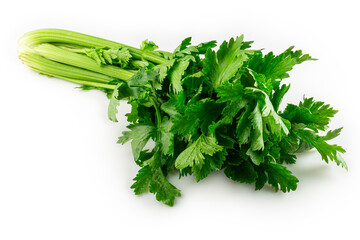 Celery isolated on white background.