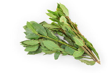 Bay leaves isolated on white background.