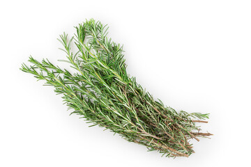 Rosemary isolated on white background.