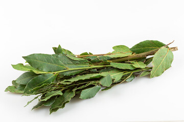 Bay leaves isolated on white background.