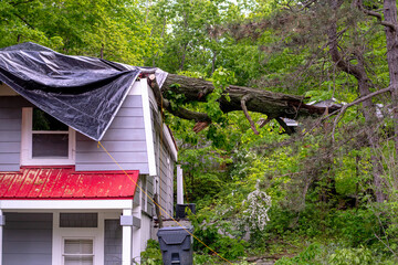 Fallen tree on a house is covered with a tarp until the rain stops and a tree crew can do clean up