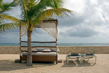 Beach shed and chairs by a palm tree