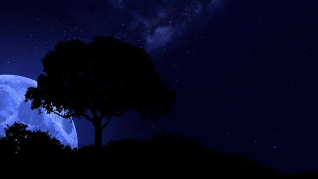 Blue Moon rising over a lonely tree in the Northern hemisphere. Blue moon and stars. Photo realistic 3D CGI render. [ProRes - UHD 4K]