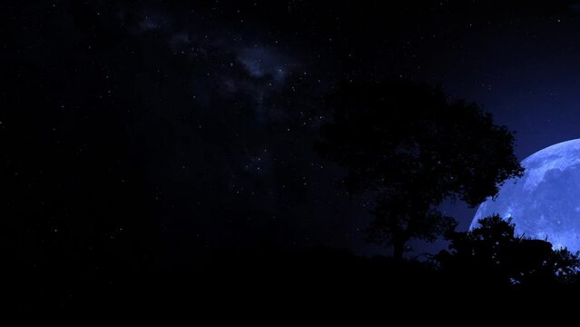 Blue Moon rising over a lonely tree in Southern hemisphere. Blue moon and stars. Photo realistic 3D CGI render. [ProRes - UHD 4K]