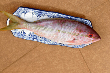 Raw red snapper fish on decorated plate - Powered by Adobe