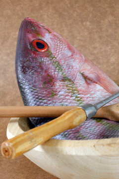 Closeup of raw red snapper fish in wooden bowl, ready to be seasoned