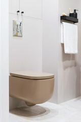 Modern ceramic toilet bowl with water tank hidden in wall