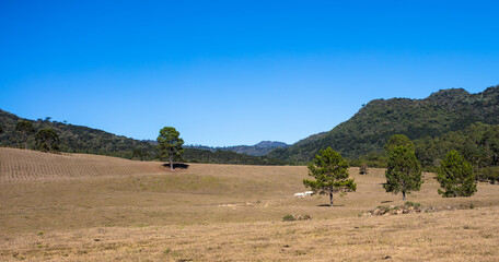 Fototapeta na wymiar Rural landscape in southern Brazil.
