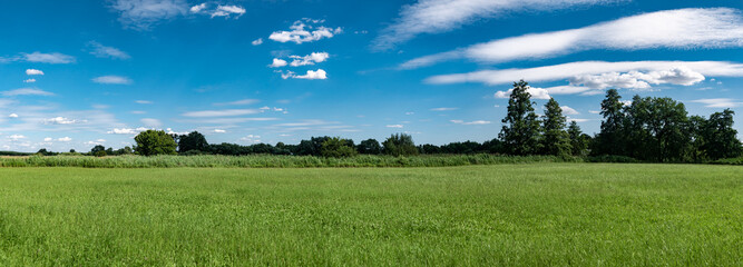 krajobraz szerokiej łąki, panorama zielonych terenów w zachodniej Polsce - obrazy, fototapety, plakaty