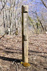 丹沢の世附権現山の山頂
世附権現山は西丹沢の丹沢湖の北西に聳える山。地図上での山名は権現山だが、他の権現山と区別するためにここでは世附権現山とする。山頂は広く明るいが展望はない。落葉した樹々越しに富士山や西丹沢の山を垣間見れるくらいだ。また山名を記した標柱と三角点の柱石があるピークと、少し離れた場所にベンチが設置された休憩スペースとが隣り合わせにあり山頂を間違いやすいので注意が必要。
