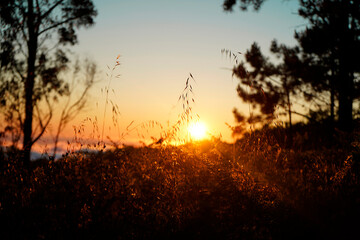 sunset