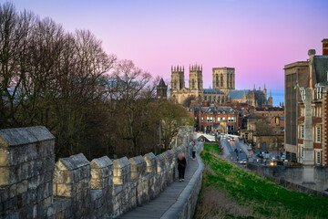 The city of York in England with its medieval wall and the York Minster at sunset - obrazy, fototapety, plakaty