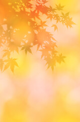 秋色の木漏れ日、光あふれる紅葉のシルエット