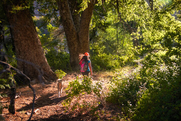 Obraz premium The girl walks along the path in the woods to the light in a white jacket and jeans.