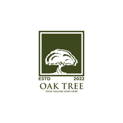 Oak tree logo template vector