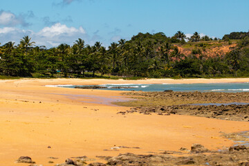 Paradise in a summer day