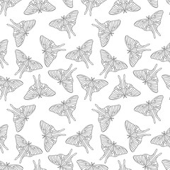 Luna moth seamless butterfly pattern for fabrics and wrapping paper and notebooks and summer clothes print and kids - obrazy, fototapety, plakaty