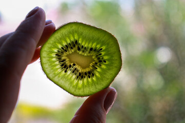 hand holding kiwi, close up