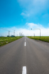 Fototapeta premium 北海道の道路