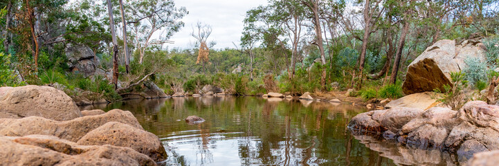 Natural Australian bush landscape in Queensland, Australia. Taken at Crows Nest Falls.