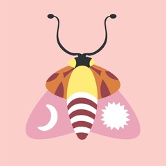 Moth with sun and moon symbols, magic insects